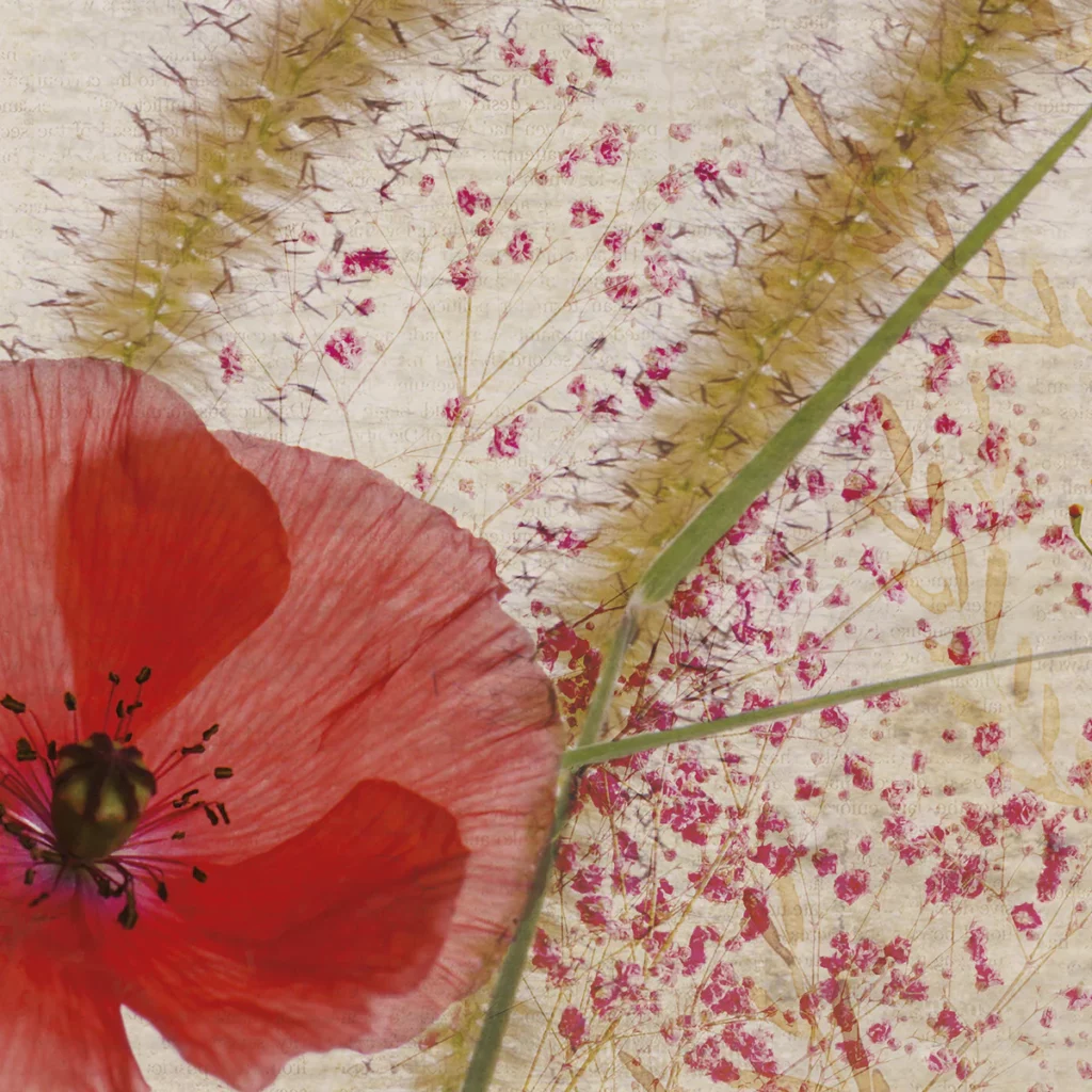 Détail de papier peint